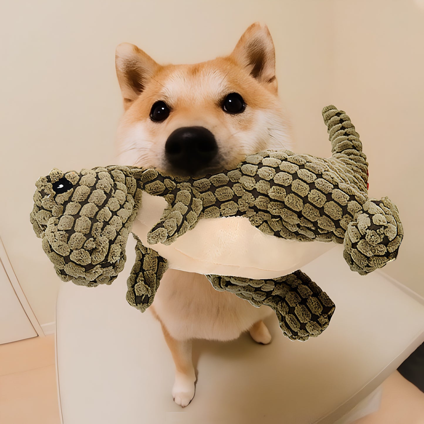 Dinobite - The plush toy for your dog